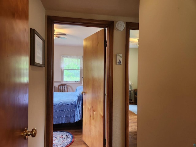 36805 N County Highway J, Bayfield, WI 54814 - hallway featuring wood finished floors