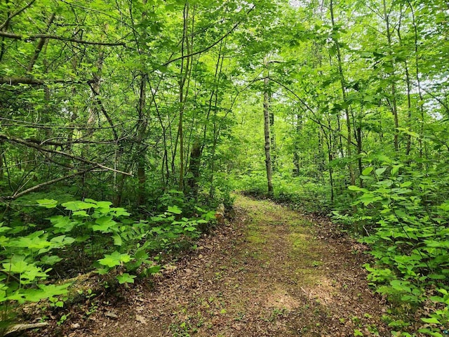 36805 N County Highway J, Bayfield, WI 54814 - view of woods