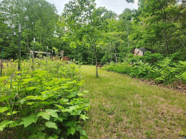 36805 N County Highway J, Bayfield, WI 54814 - view of yard