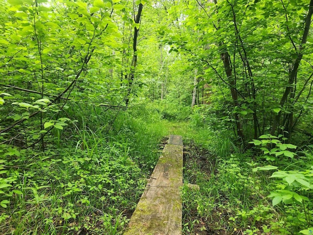 36805 N County Highway J, Bayfield, WI 54814 - view of undeveloped land