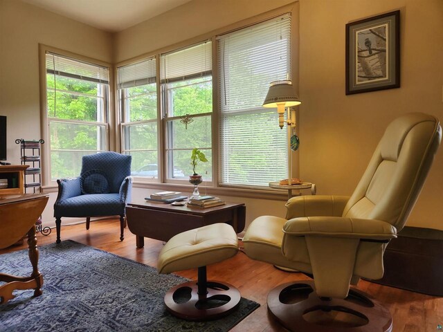 36805 N County Highway J, Bayfield, WI 54814 - sitting room featuring wood finished floors