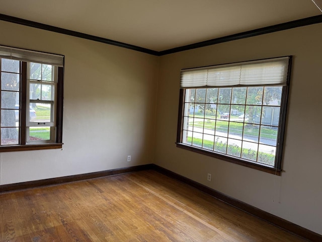 472 Orchard St, Burlington, WI 53105 - unfurnished room with ornamental molding, wood finished floors, and healthy amount of natural light