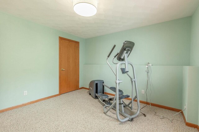 1227 N 3rd St, Monroe, WI 53566 - workout room with baseboards and carpet floors