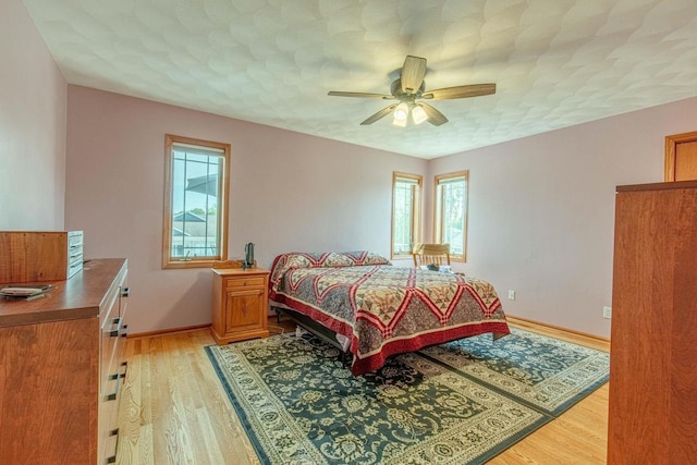1227 N 3rd St, Monroe, WI 53566 - bedroom with multiple windows, light wood-type flooring, and a ceiling fan