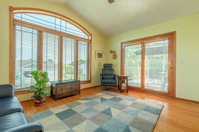 1227 N 3rd St, Monroe, WI 53566 - living area featuring plenty of natural light, wood finished floors, vaulted ceiling, and ceiling fan
