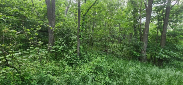 L7 Oakleaf Ln, Wisconsin Dells, WI 53965