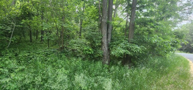 L7 Oakleaf Ln, Wisconsin Dells, WI 53965