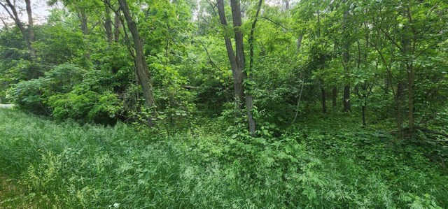 L7 Oakleaf Ln, Wisconsin Dells, WI 53965