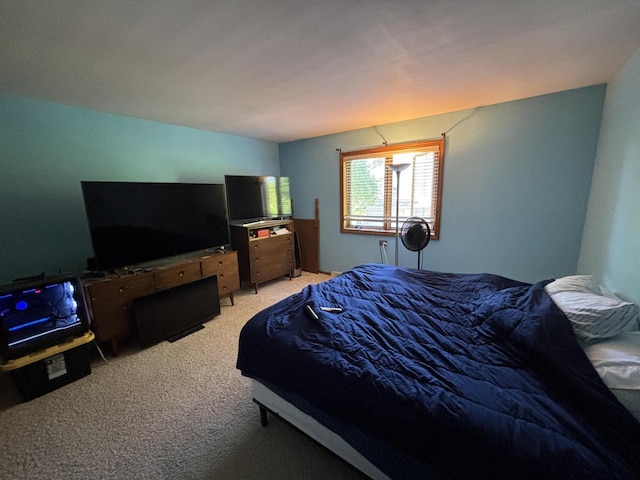 N34W23849 Grace Ave Unit C, Pewaukee, WI 53072 - bedroom with light colored carpet