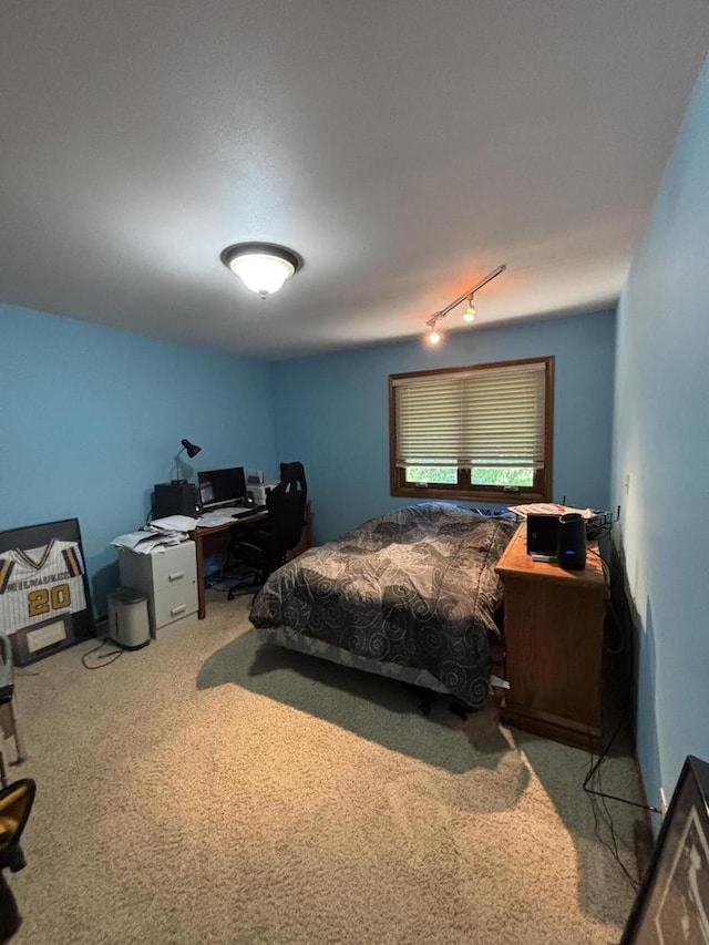 N34W23849 Grace Ave Unit C, Pewaukee, WI 53072 - bedroom featuring carpet floors, a desk, and track lighting