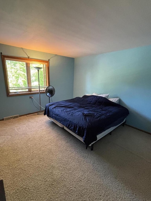 N34W23849 Grace Ave Unit C, Pewaukee, WI 53072 - bedroom with carpet and baseboards