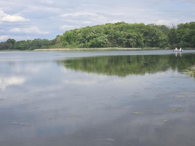 230 Gilbertson St, Markesan, WI 53946 - water view featuring a forest