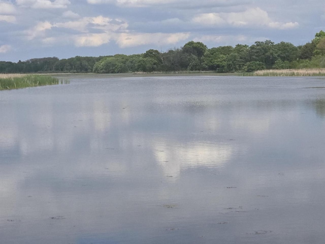 230 Gilbertson St, Markesan, WI 53946 - water view featuring a forest