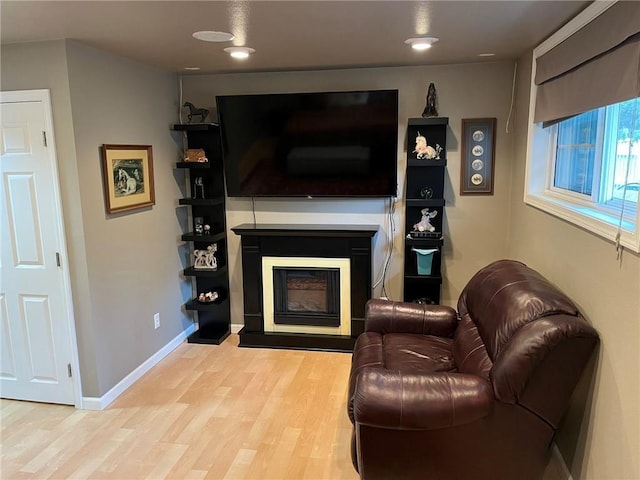 3158 Leslie Ln, Eau Claire, WI 54703 - living room featuring light wood finished floors and a fireplace