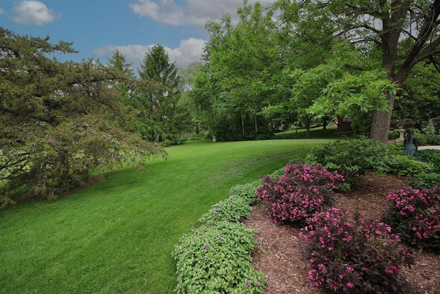 1000 Ridge Rd, Waukesha, WI 53186 - view of green lawn