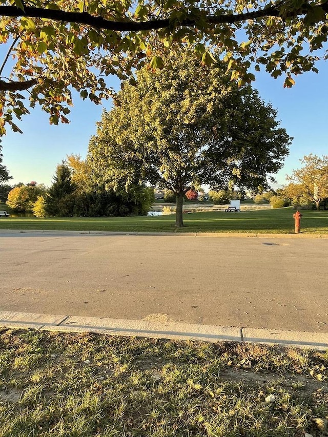 516 Hickory Hollow Rd Unit 0402, Waterford, WI 53185 - view of yard featuring view of wooded area