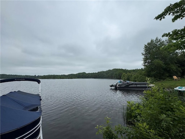 UNIT5 252nd Ct, Holcombe, WI 54745