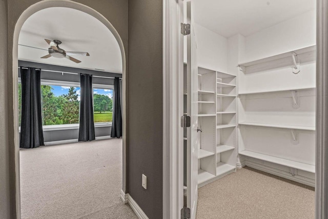 N66W38493 N Woodlake Cir, Oconomowoc, WI 53066 - spacious closet with carpet and ceiling fan