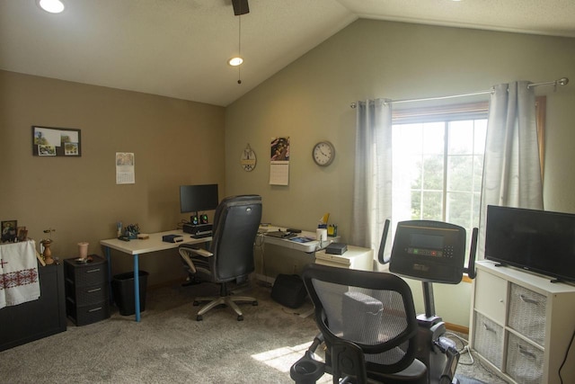 156 Pheasant Run Unit D-4, Johnson Creek, WI 53038 - office space with vaulted ceiling and carpet floors