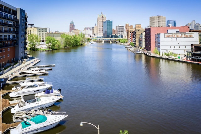 106 W Seeboth St Unit 702, Milwaukee, WI 53204 - water view featuring skyline