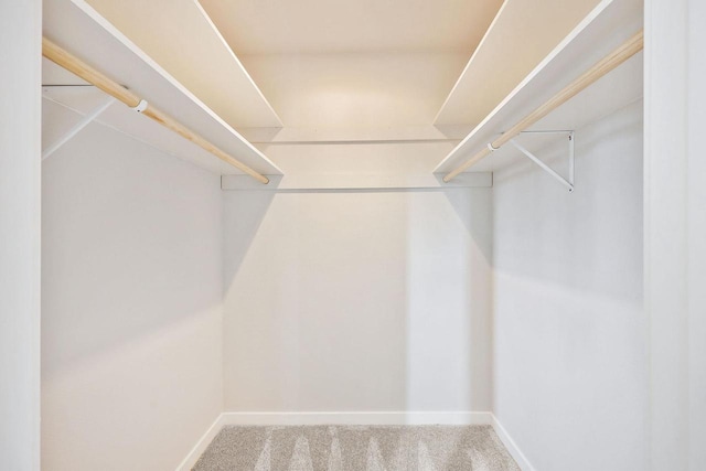 1508 Whispering Pines Way, Fitchburg, WI 53713 - spacious closet featuring carpet floors
