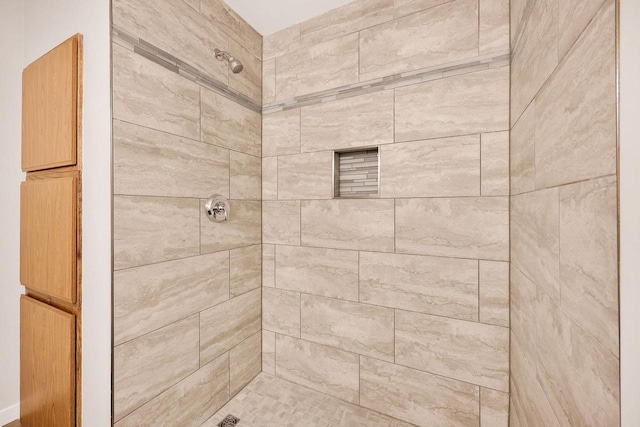 807 Whispering Pines Way, Fitchburg, WI 53713 - bathroom with tiled shower