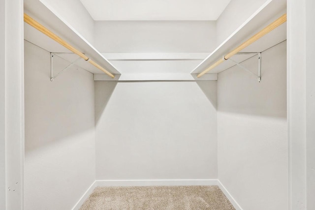 807 Whispering Pines Way, Fitchburg, WI 53713 - spacious closet with carpet flooring