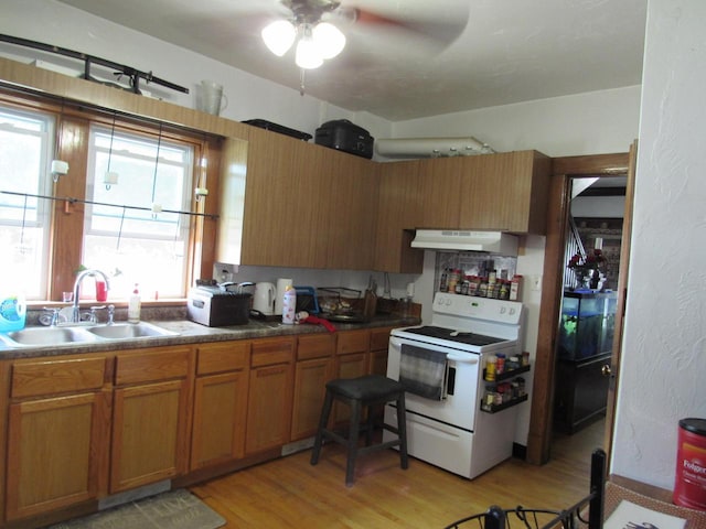 616 N 14th St, Sheboygan, WI 53081 - kitchen with white range with electric cooktop, exhaust hood, light wood-style flooring, ceiling fan, and brown cabinets