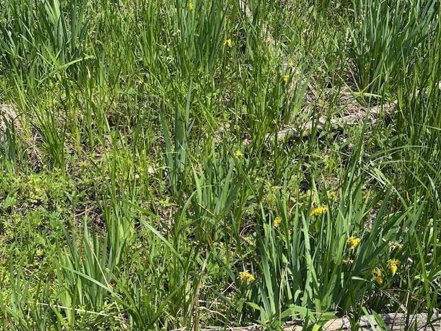 LOT60 Lakeside Dr, Edgerton, WI 53534
