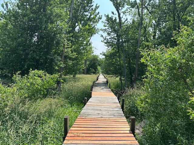 LOT60 Lakeside Dr, Edgerton, WI 53534