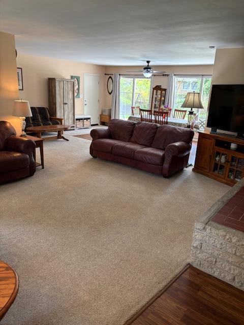 3415 N 105th St, Wauwatosa, WI 53222 - carpeted living area with healthy amount of natural light and ceiling fan