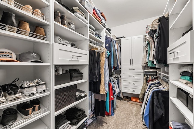 3830 Augusta Ct, Plover, WI 54467 - walk in closet featuring carpet