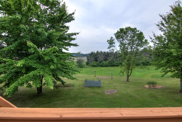 8103 W Folsom St, Eau Claire, WI 54703 - view of green lawn