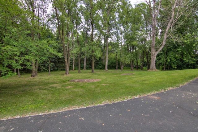 8103 W Folsom St, Eau Claire, WI 54703 - view of grassy yard