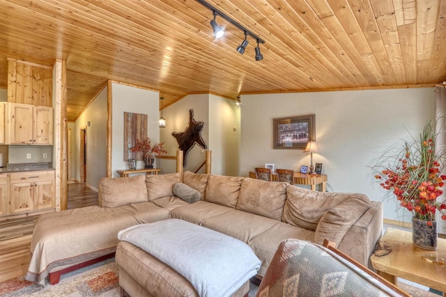 7760 N Thunder Point Rd, Hayward, WI 54843 - living room with wood ceiling, vaulted ceiling, and light wood-style flooring