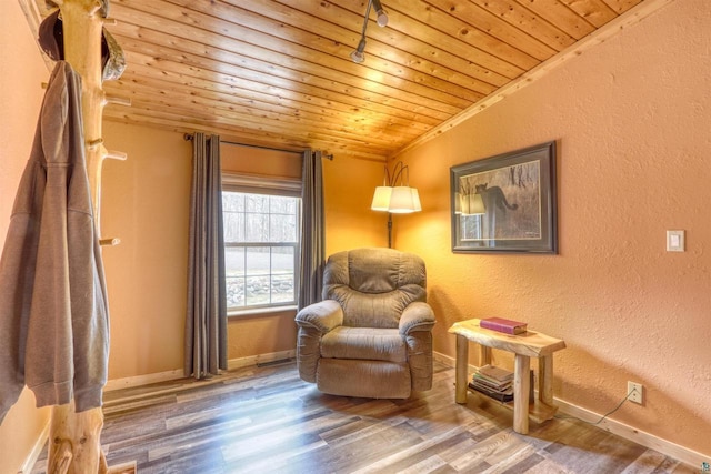 7760 N Thunder Point Rd, Hayward, WI 54843 - living area featuring a textured wall, wood ceiling, lofted ceiling, wood finished floors, and rail lighting