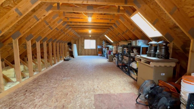7760 N Thunder Point Rd, Hayward, WI 54843 - unfinished attic with a skylight