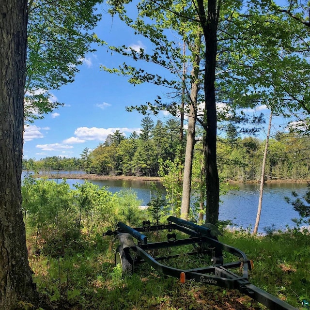 7760 N Thunder Point Rd, Hayward, WI 54843 - water view featuring a heavily wooded area