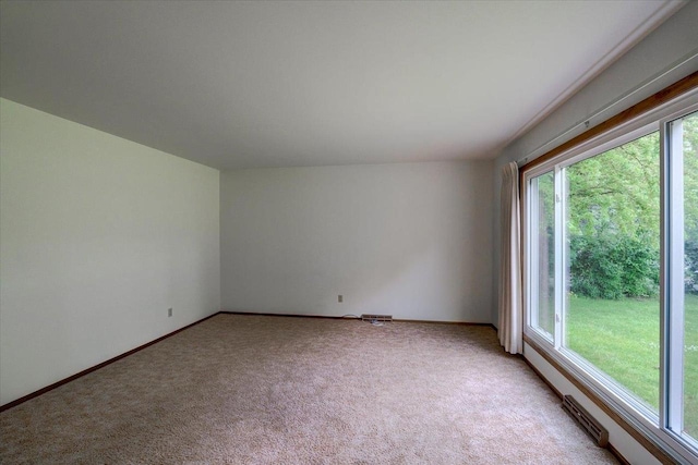 1702 Rae Ln, Madison, WI 53711 - spare room featuring light carpet and baseboards