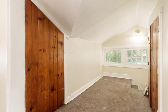 619 Middle St, Beloit, WI 53511 - bonus room featuring lofted ceiling and carpet