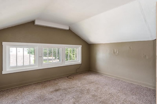 619 Middle St, Beloit, WI 53511 - additional living space featuring lofted ceiling and carpet flooring