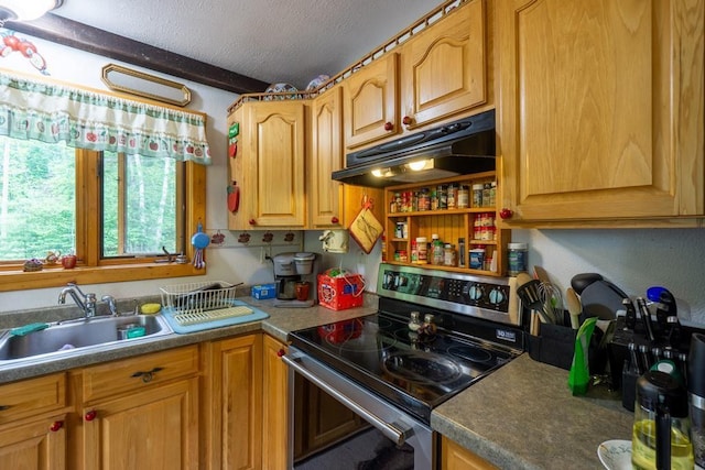 N8981 W Island Rd, Phillips, WI 54555 - kitchen featuring stainless steel range with electric stovetop, under cabinet range hood, and a textured ceiling