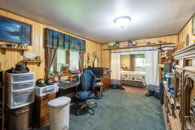 N8981 W Island Rd, Phillips, WI 54555 - home office featuring wooden walls, carpet flooring, plenty of natural light, and a textured ceiling