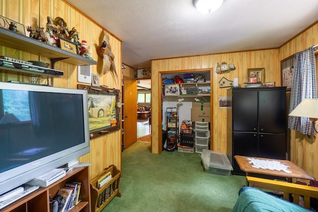 N8981 W Island Rd, Phillips, WI 54555 - carpeted office featuring wooden walls