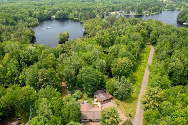 N8981 W Island Rd, Phillips, WI 54555 - aerial view of a forest and a large body of water