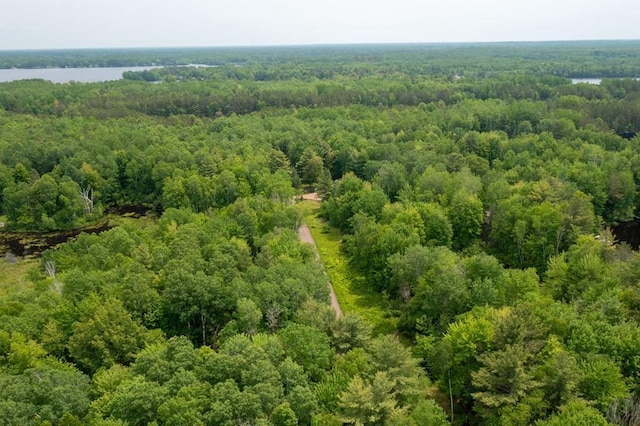 N8981 W Island Rd, Phillips, WI 54555 - drone / aerial view of a heavily wooded area and a nearby body of water