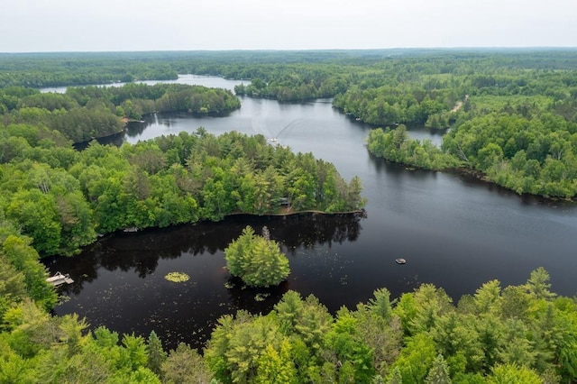 N8981 W Island Rd, Phillips, WI 54555 - drone / aerial view of a heavily wooded area and a large body of water