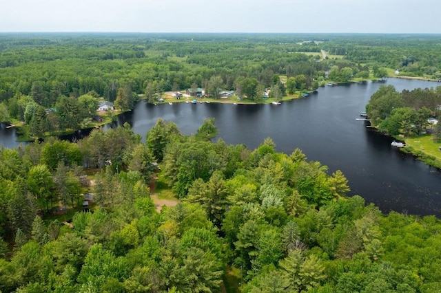N8981 W Island Rd, Phillips, WI 54555 - aerial view of property's location with a forest and a nearby body of water
