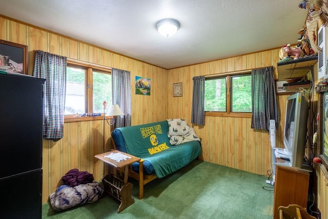 N8981 W Island Rd, Phillips, WI 54555 - living area with carpet floors and wood walls