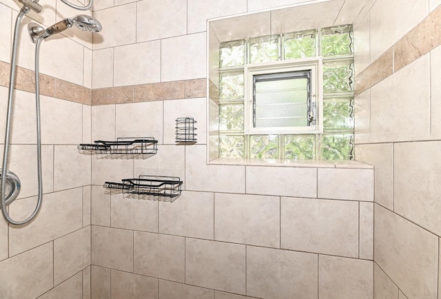 1721 Spring Pl, Racine, WI 53404 - bathroom view of tiled shower